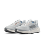 Pegasus 41 Women's :Photon Dust I Pewter