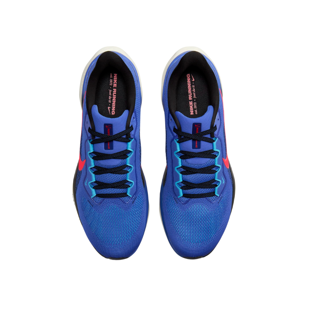 Air Zoom Pegasus 41 For Men