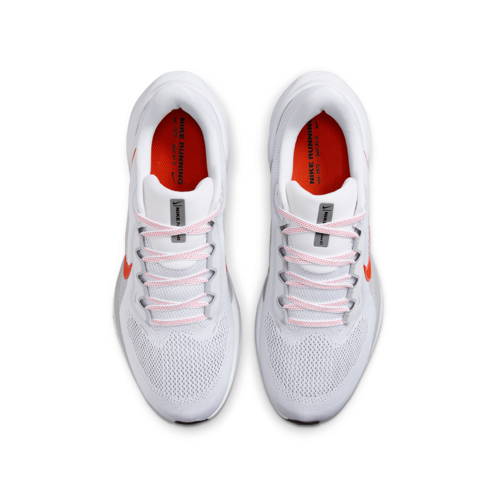 Air Zoom Pegasus 41 For Men
