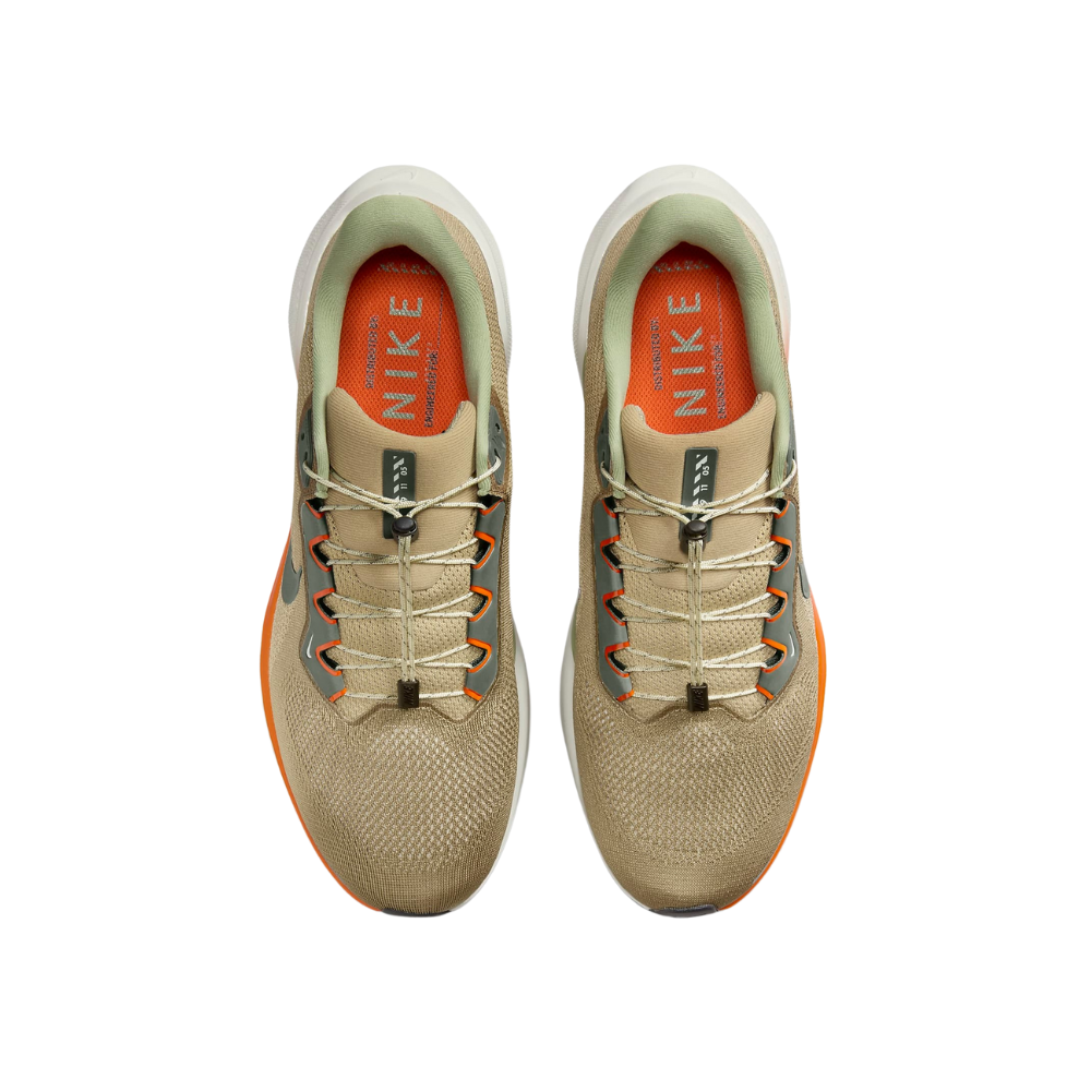 Air Zoom Pegasus 41 For Men