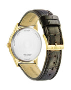 Citizen Eco-Drive Dress Watch AW0102-13A