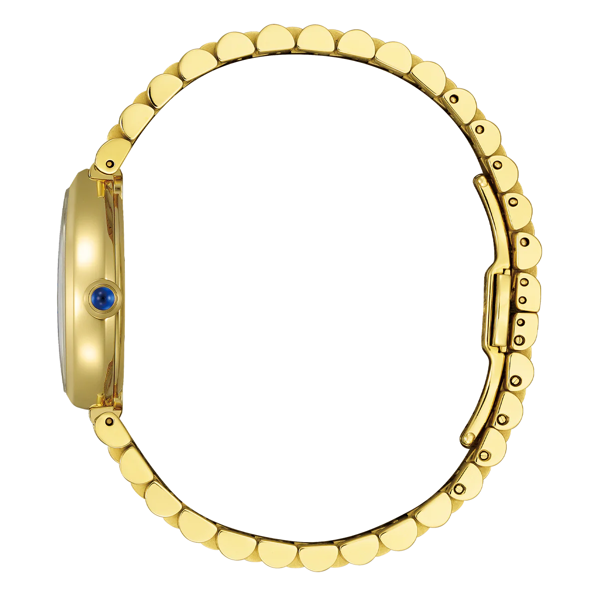 Ladies' Citizen Eco-Drive Rainell Gold-Tone EM1202-50P