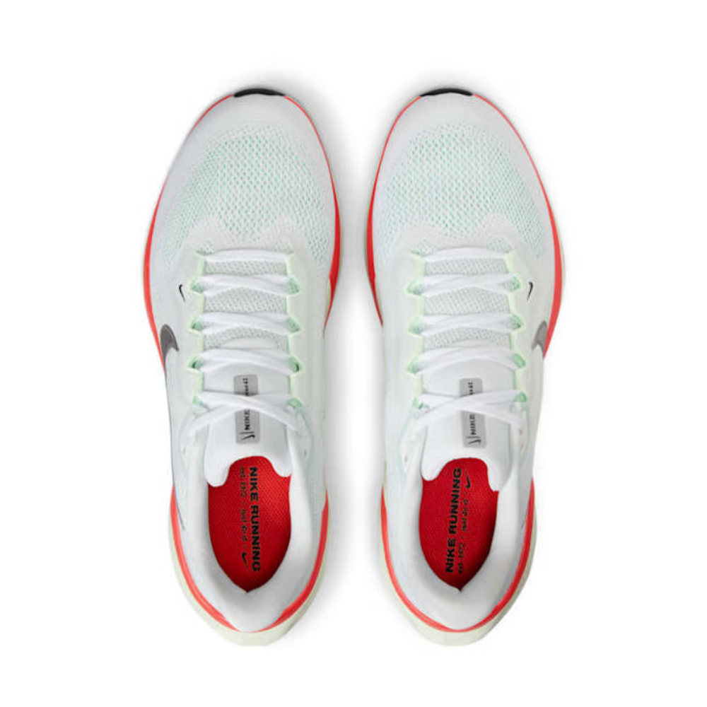 Air Zoom Pegasus 41 For Men
