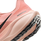 Air Zoom Pegasus 41 For Men