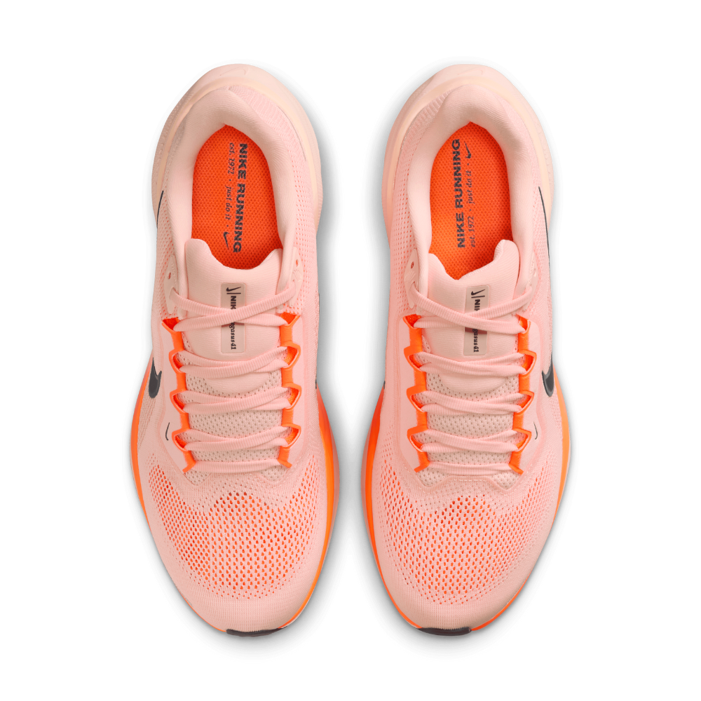 Air Zoom Pegasus 41 For Men