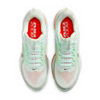 Air Zoom Pegasus Premium For Men
