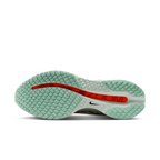 Air Zoom Pegasus Premium For Men