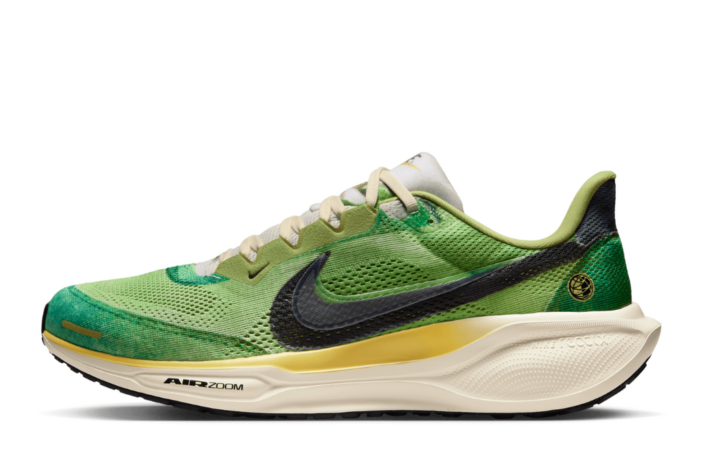 Air Zoom Pegasus 41 For Men