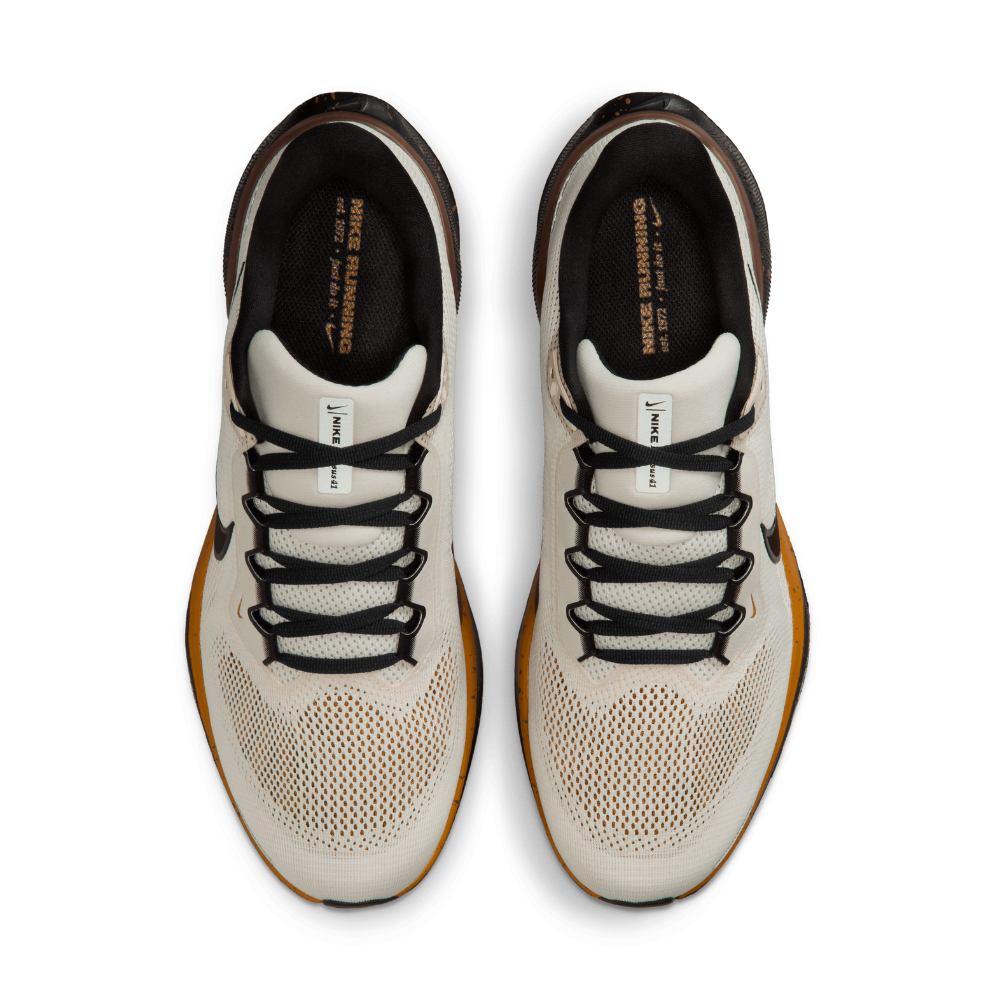 Air Zoom Pegasus 41 For Men