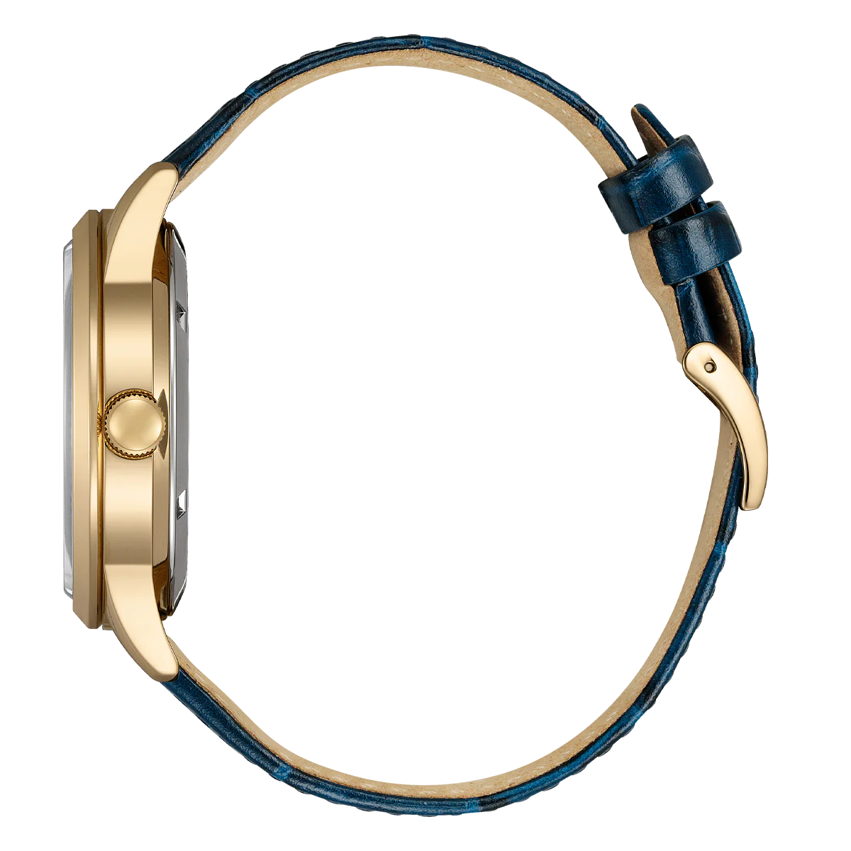 Citizen Mechanical Automatic Gold NY4063-01L