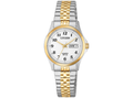 Citizen Ladies Quartz Two Tone Dress Watch EQ2004-95A
