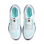 Air Zoom Pegasus 41 For Men