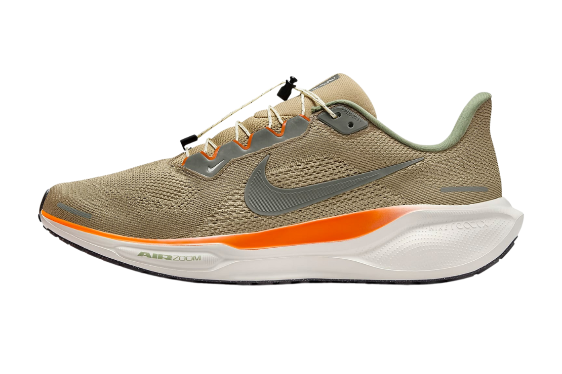 Air Zoom Pegasus 41 For Men